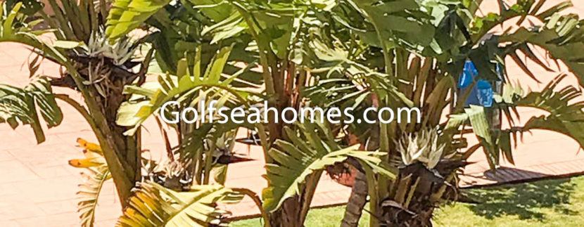 IMG-20180717-WA0015