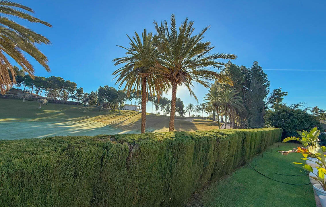 WhatsApp Image 2026-01-15 at 17.47.48 (2)