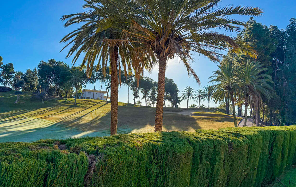 WhatsApp Image 2026-01-15 at 17.47.48 (3)