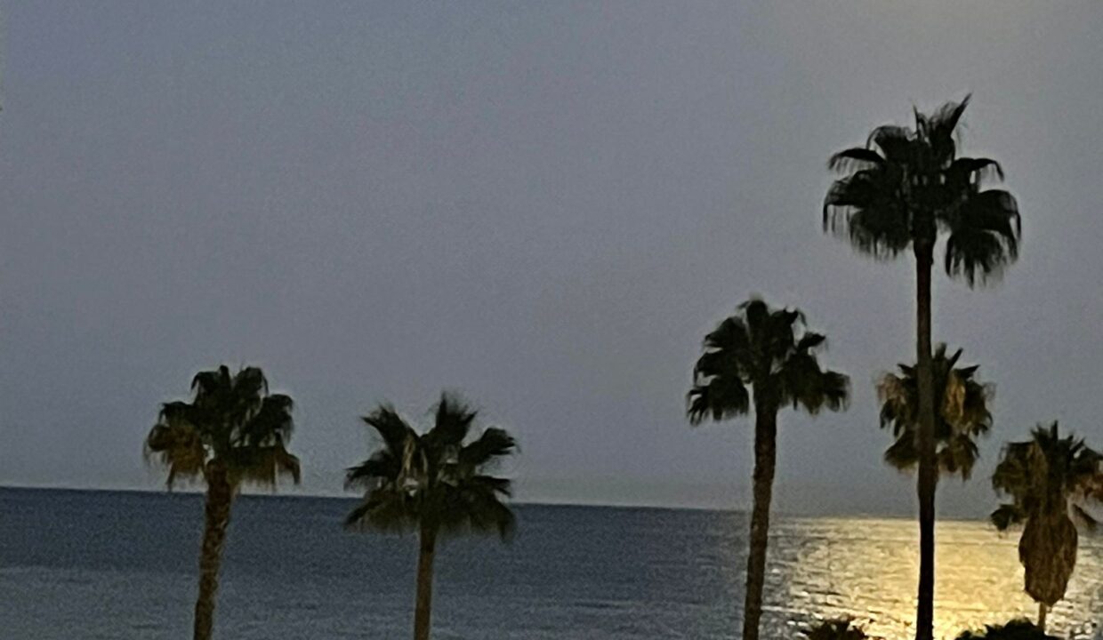 WhatsApp Image 2025-07-23 at 00.02.38