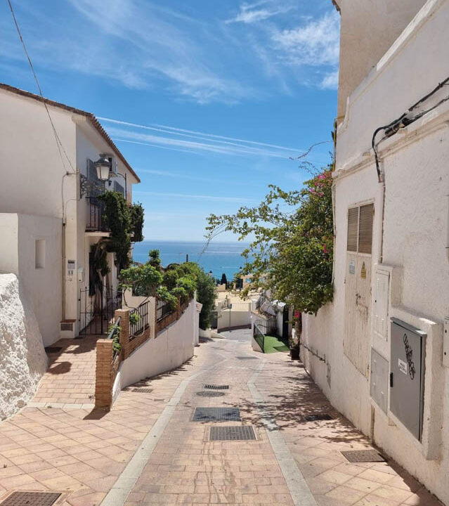 WhatsApp Image 2025-10-08 at 16.43.45