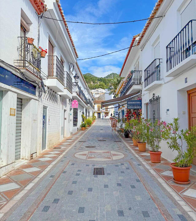 WhatsApp Image 2025-10-08 at 16.44.51 (1)